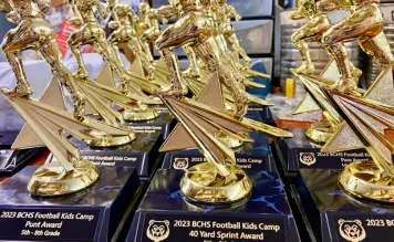 Row of gold trophies lined up on a table
